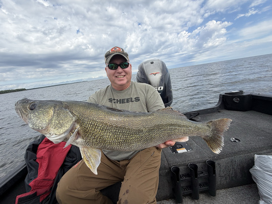 Walleye
