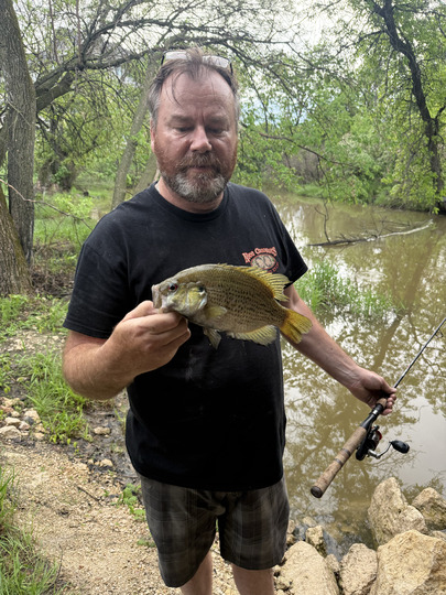 Rock Bass