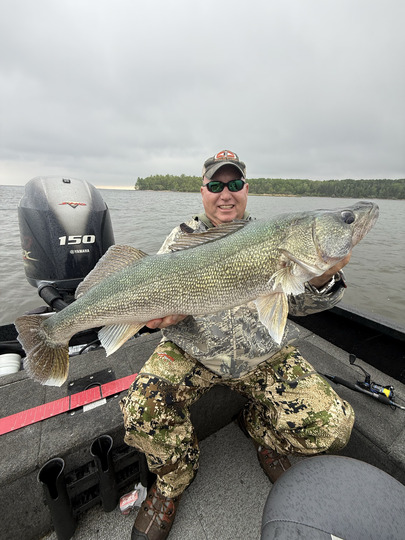 Walleye