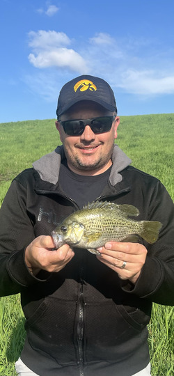 Rock Bass