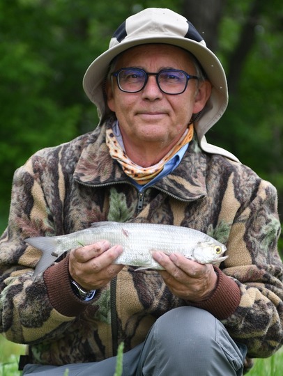 Goldeye