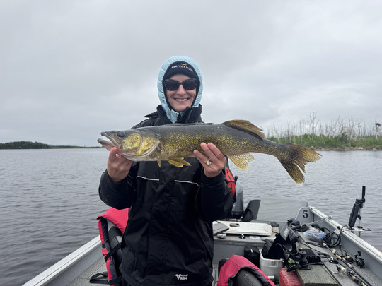 Walleye