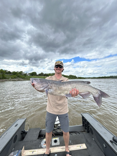 Channel Catfish