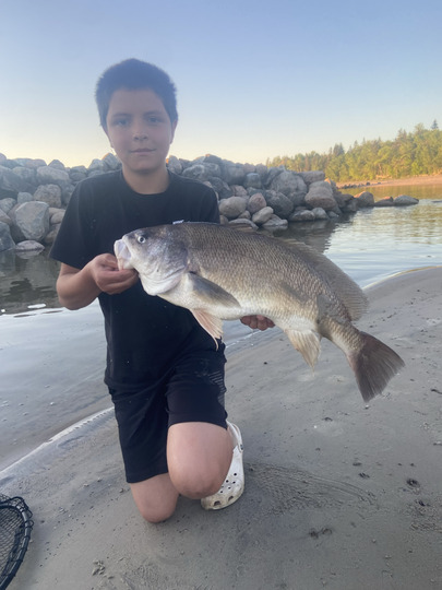 Freshwater Drum