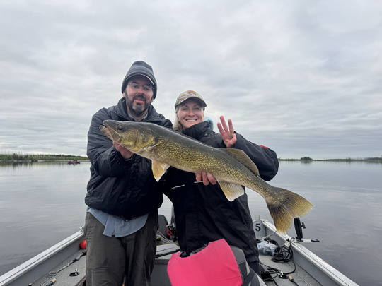 Walleye