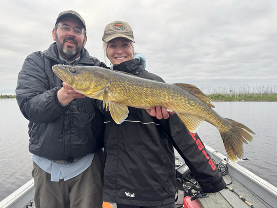 Walleye