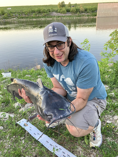 Channel Catfish