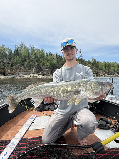 Walleye