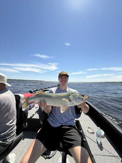 Walleye