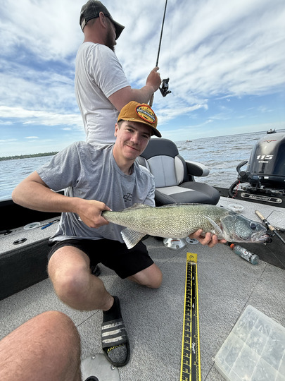Walleye