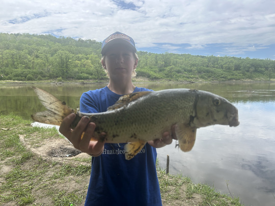 Sucker