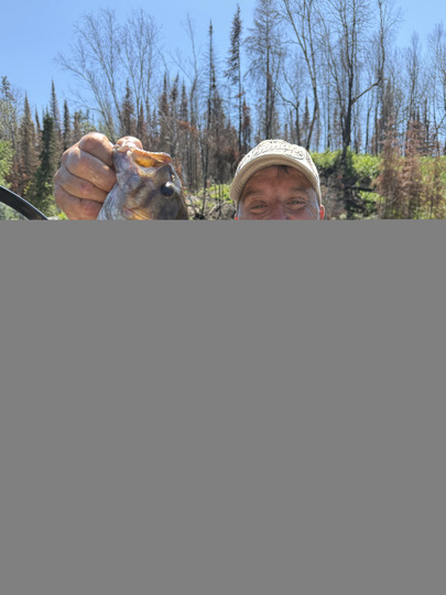 Smallmouth Bass