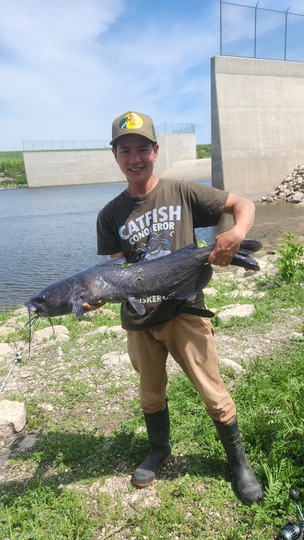 Channel Catfish