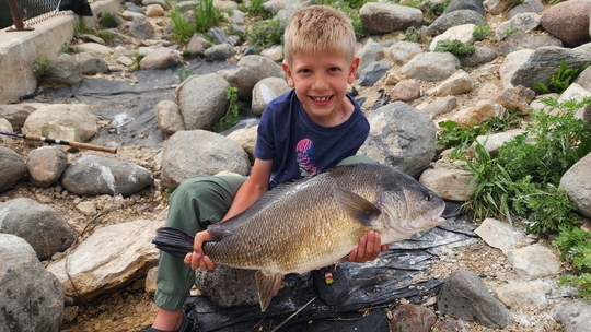 Freshwater Drum
