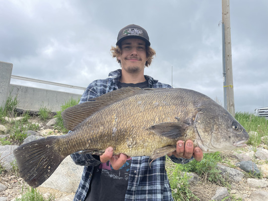 Freshwater Drum