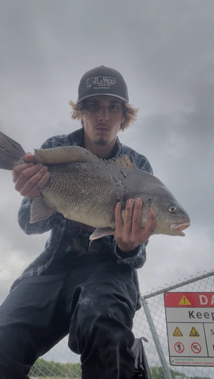 Freshwater Drum