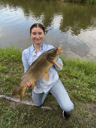 Common Carp