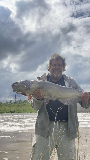 Channel Catfish