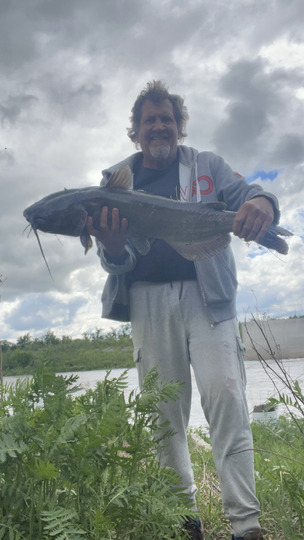Channel Catfish