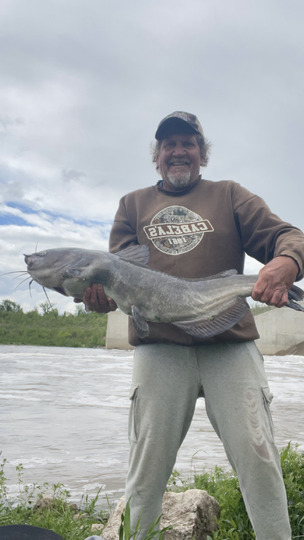 Channel Catfish