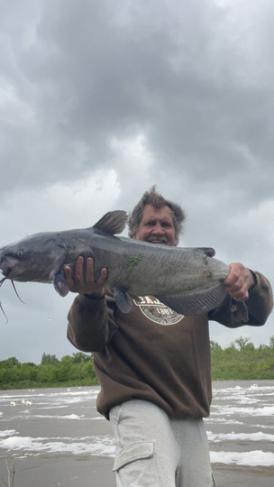 Channel Catfish