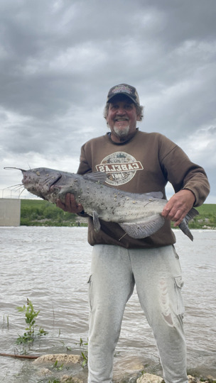 Channel Catfish