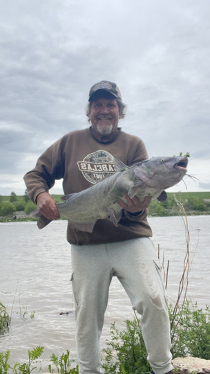 Channel Catfish
