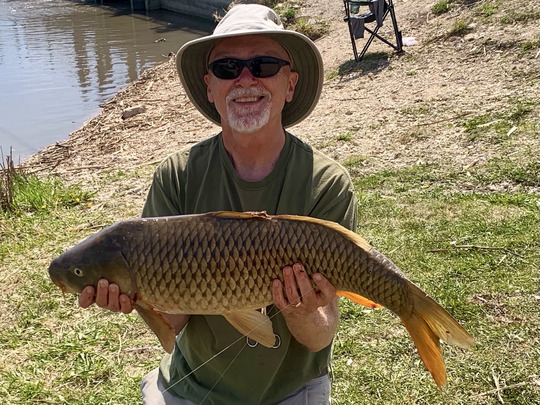 Common Carp