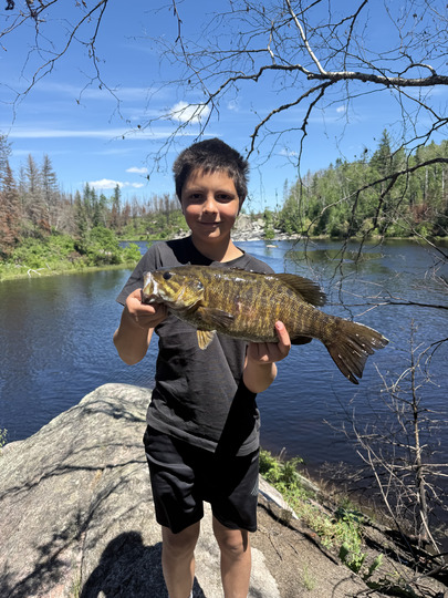 Smallmouth Bass