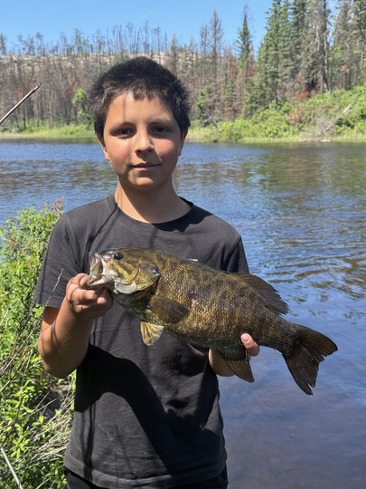 Smallmouth Bass