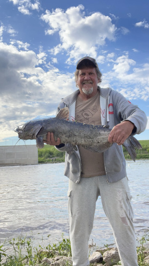 Channel Catfish