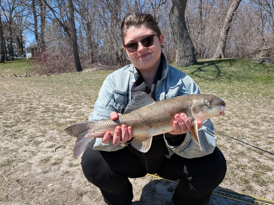 Sucker