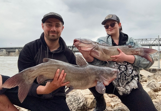 Channel Catfish