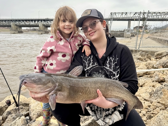 Channel Catfish