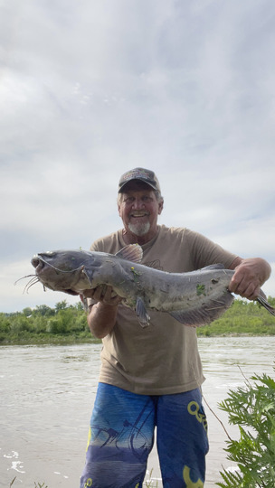 Channel Catfish