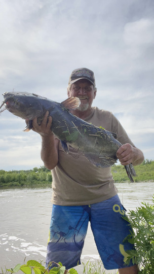 Channel Catfish