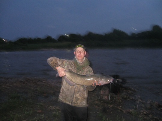 Channel Catfish