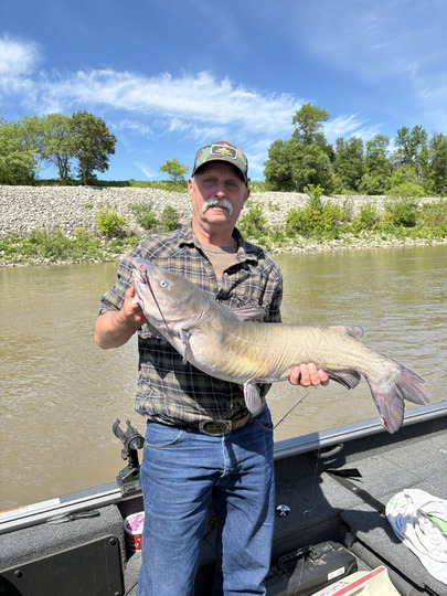 Channel Catfish