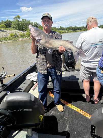 Channel Catfish