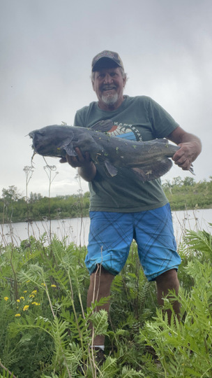 Channel Catfish