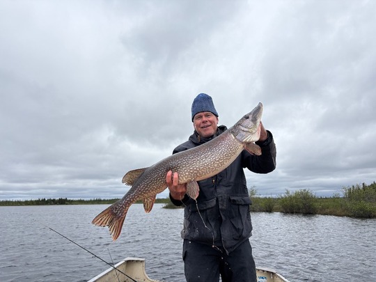 Northern Pike