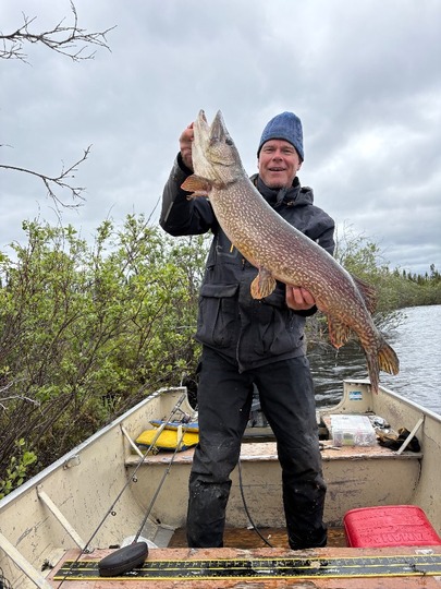 Northern Pike