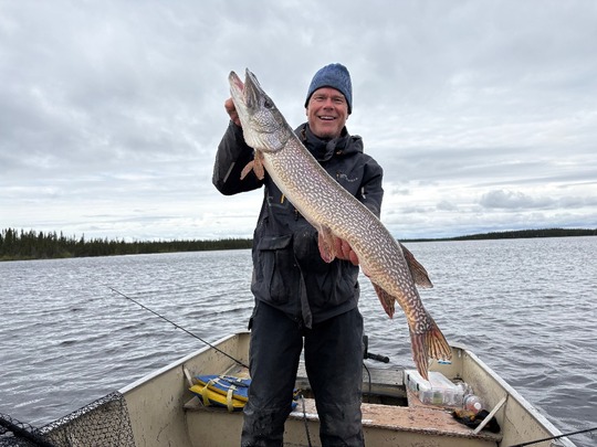Northern Pike