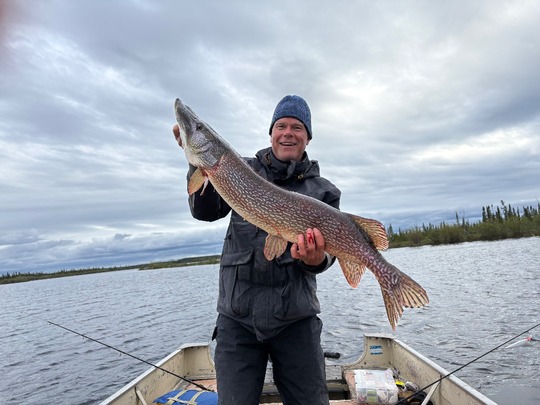 Northern Pike
