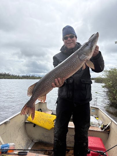 Northern Pike