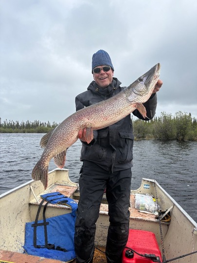 Northern Pike