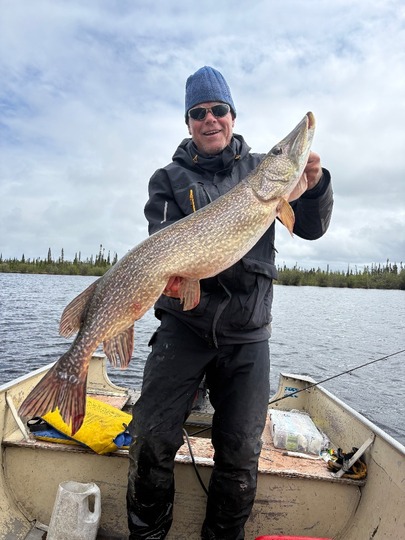 Northern Pike