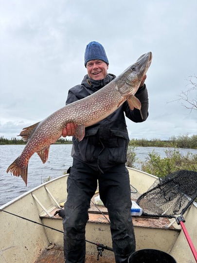 Northern Pike