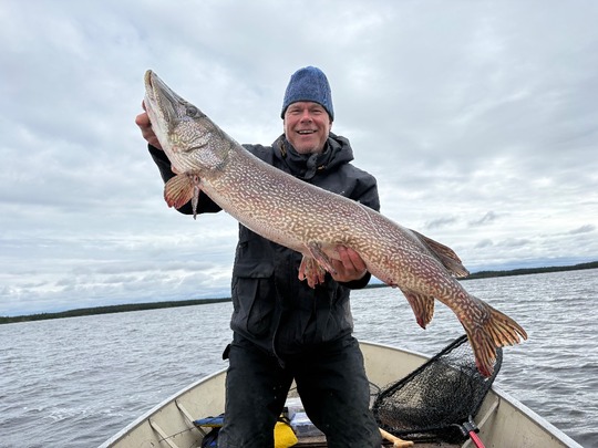 Northern Pike