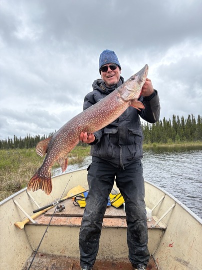 Northern Pike